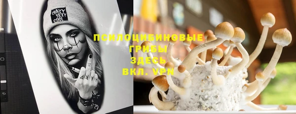 кокаин премиум Белокуриха