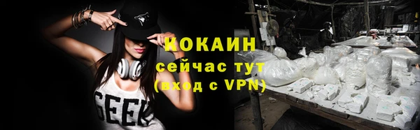 шишки Беломорск