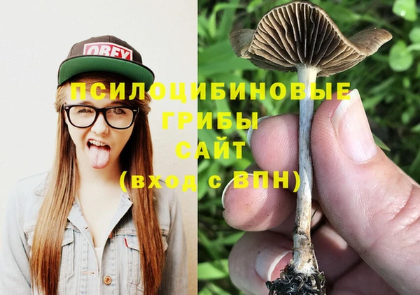 шишки Беломорск