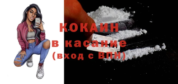 шишки Беломорск