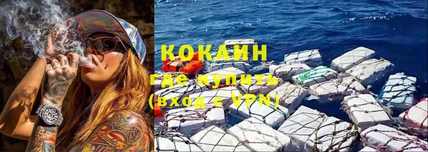 шишки Беломорск
