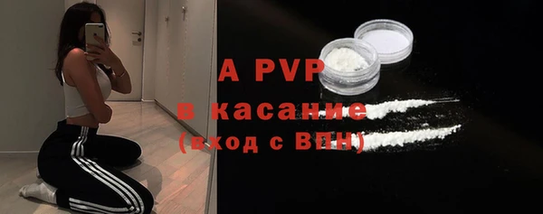 шишки Беломорск