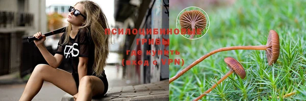 прущие крисы Белоозёрский