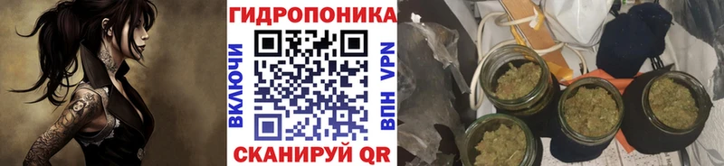 Купить Кстово Канабис Amnesia
